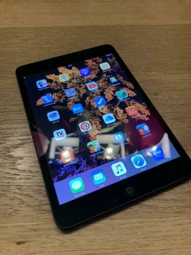 iPad mini black 32 Gb nette staat 