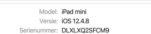 iPad mini in goede staat