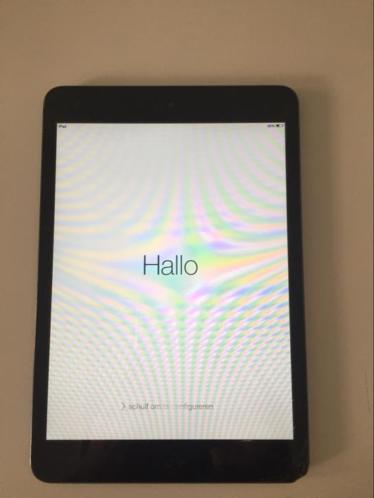 iPad Mini (inclusief case)