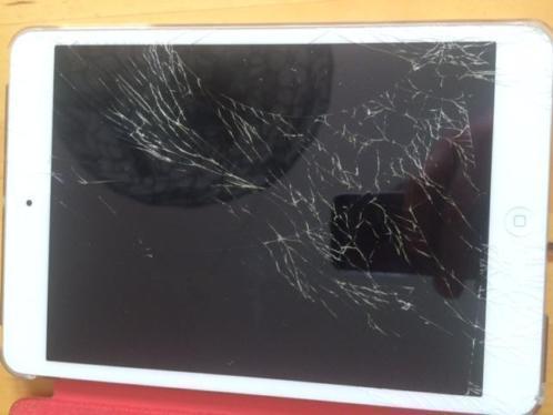 iPad mini reparatie en nog veel meer