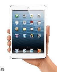 iPad Mini silver wifi 16GB