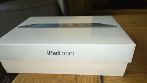 iPad mini Wi-Fi 16GB 