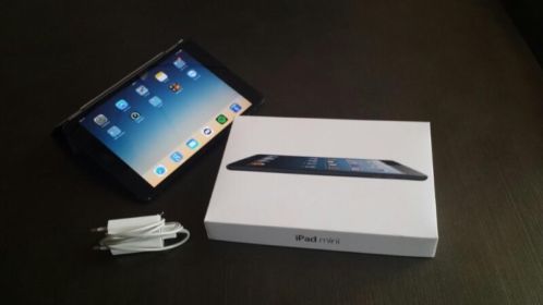 iPad mini wifi 16 GB