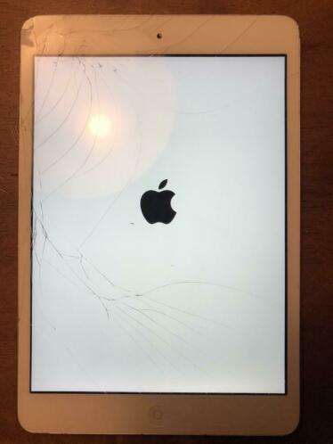 iPad mini wit