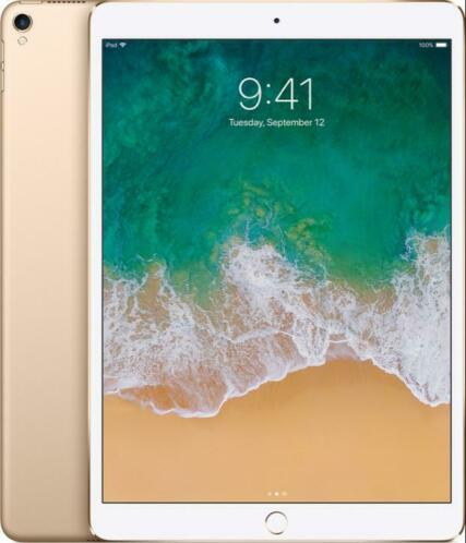 iPad Pro 10.5 512GB () gold nieuwstaat