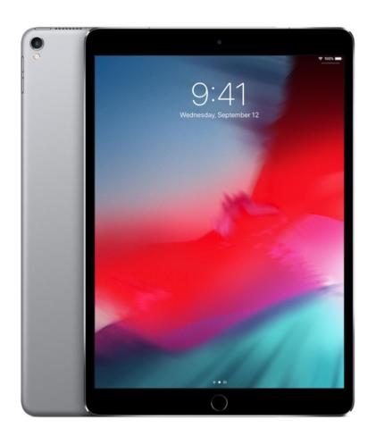 iPad Pro 2 10.5 - 256 GB (1 x) Space Gray en (1X) Silver