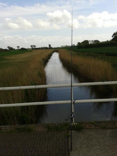 Karper hengel inclusief molen van Shimano