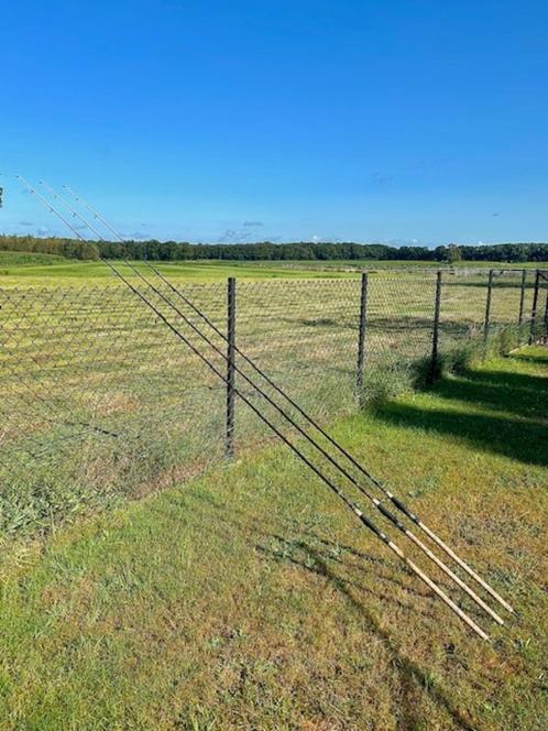 Karperhengels (3) - Killer Carp 2 34-3lbs 12ft.