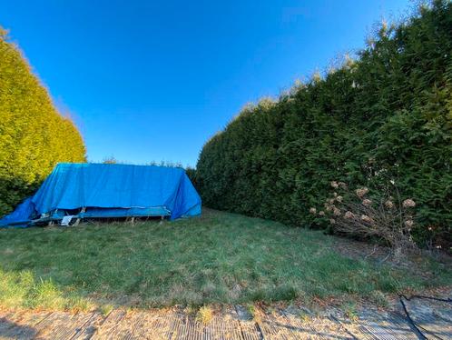 Kavel (landje) met huisje en steiger van 10m Loosdrecht