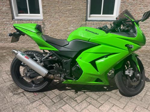 Kawasaki Ninja 250R ( 2009  CAT A2A )