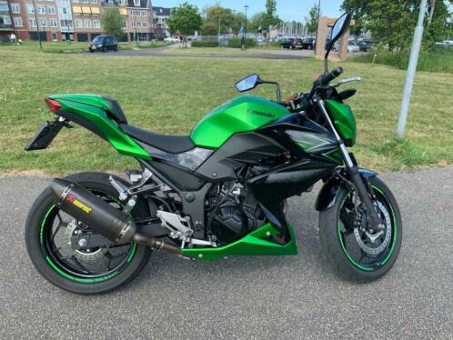 Kawasaki Z 300