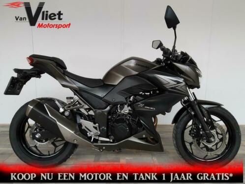 KAWASAKI Z 300 ABS Zie foto039s. (bj 2015) Z300 35KW A2