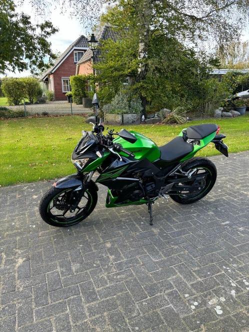 Kawasaki Z300 2017 ABS Performance editie