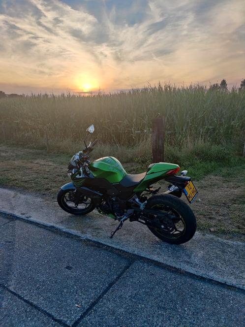 Kawasaki Z300 (A2) met akrapovic uitlaat amp gear indicator