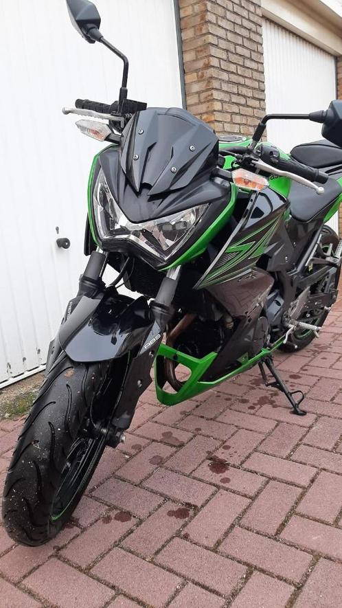 Kawasaki Z300 ABS Akrapovic