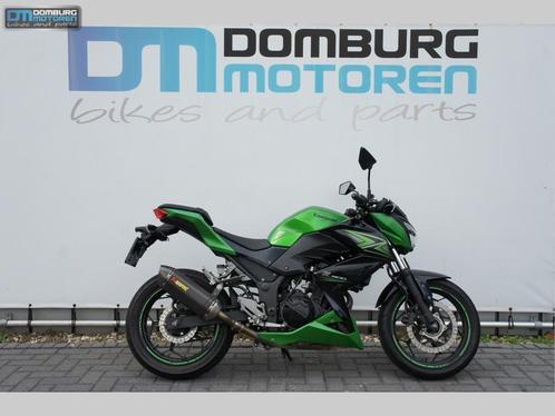 KAWASAKI Z300 ABS (bj 2015) Akrapovic demper