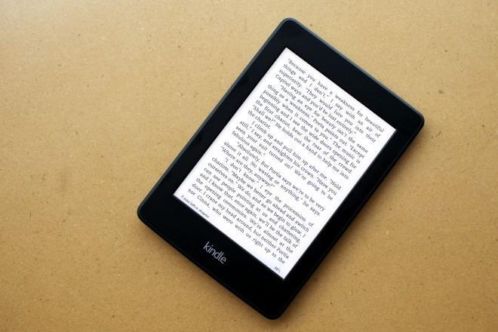 Kindle paperwhite wifi model 2013 compleet met hoes en lader