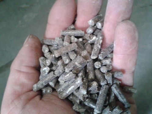 Kippen mest korrels, 