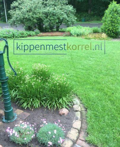 Kippenmestkorrels voor een groen gazon