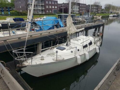 Klassieke Nederlandse werf gebouwde haai 33