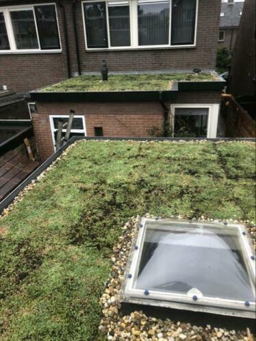 Klimaat groen maak zelf uw groene dak