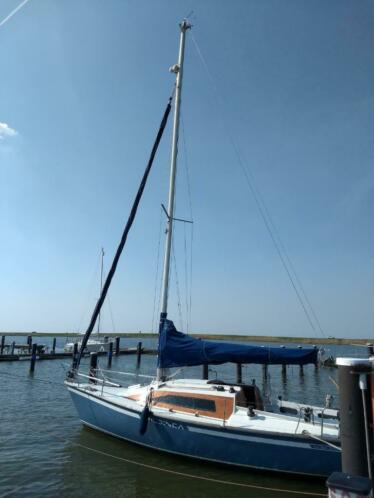 Kolibri 800 (werfgebouwd) 