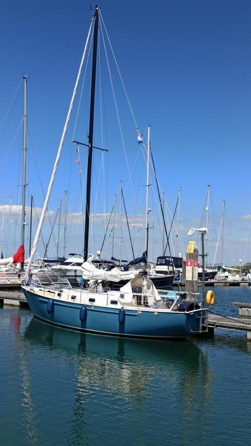 Koopmans 33