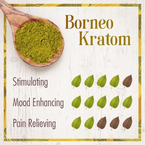 kratom mitragyna speciosa  nano poeder gezonde plant