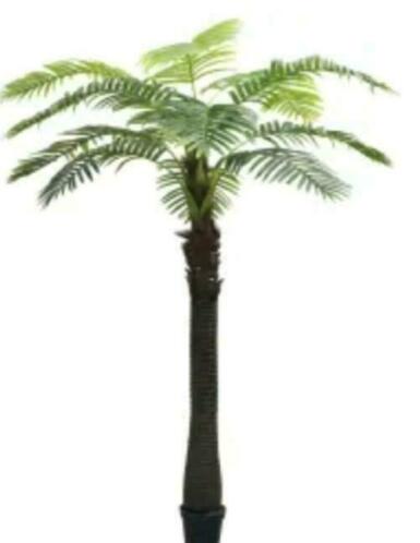 Kunst palmboom 240 cm