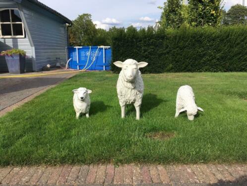 kunstof schapen