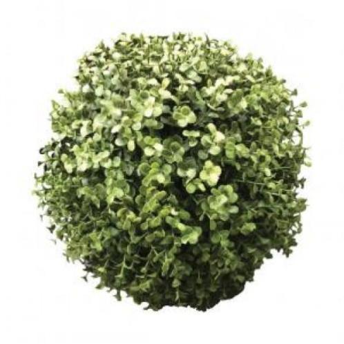 Kunstplant 3D Buxus, Eucalyptus en Lavendel bol vanaf 9,85
