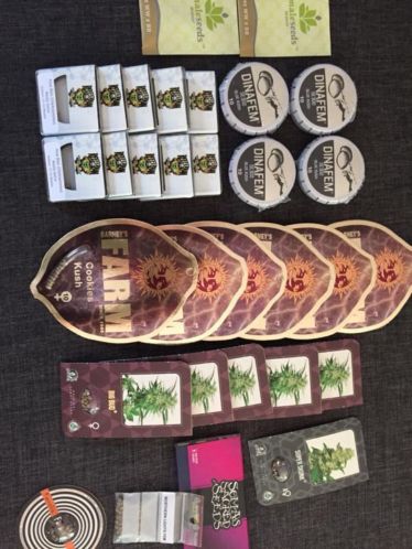 Kweekspullen top zaden dikke korting