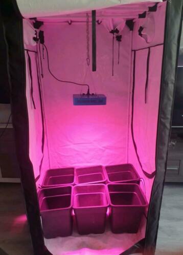 Kweektent 1x1x2   LED LAMP 198W groeibloei.