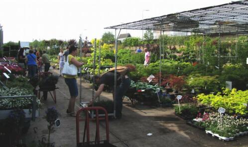 kwekerij in Boskoop met tuinplanten ook particuliere verkoop