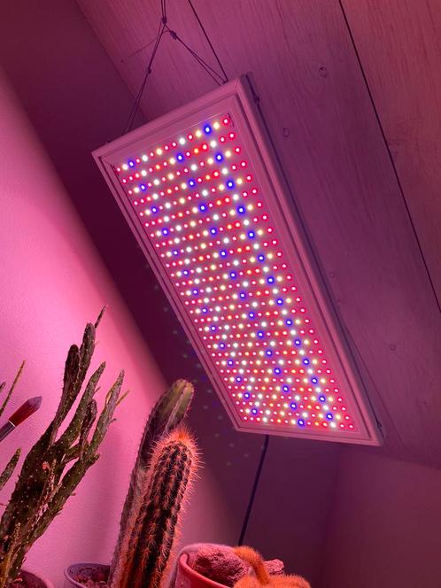 LED Groeipaneel 50 Watt Full-spectrum