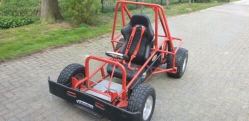 leuke buggy met kar