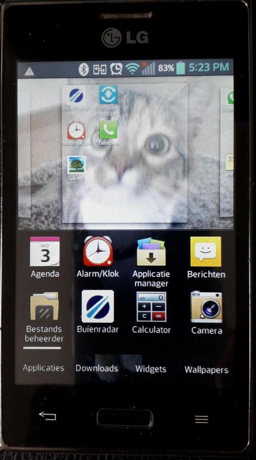 LG-Optimus E610