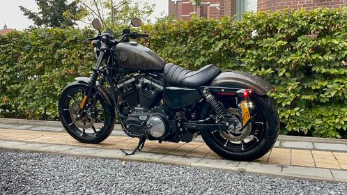 Like New 2020 Harley Davidson 883 Sportster - Owner Sell