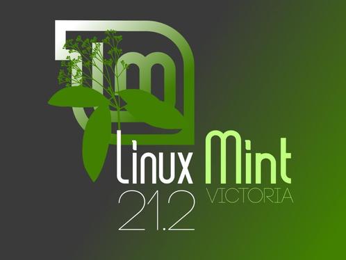 Linux Mint 21.2 install DVD quotVictoriaquot 19-11