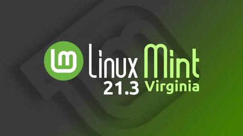 Linux Mint 21.3 install DVD quotVirginiaquot 20-1