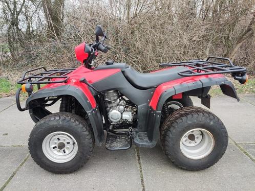 LONCIN Quad (type LX200ST, 200 cc, 2 WD, 3.665 km, kenteken)