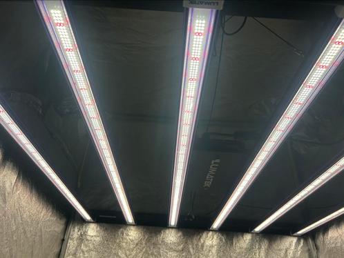 Lumatek Zeus LED - 600 W - 2,6 mol