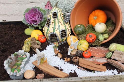 Maak je eigen droomtuintje-fairy garden