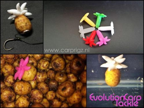 Maggot Plugs (Evolution Carp Tackle) -gt Carp Rigz 