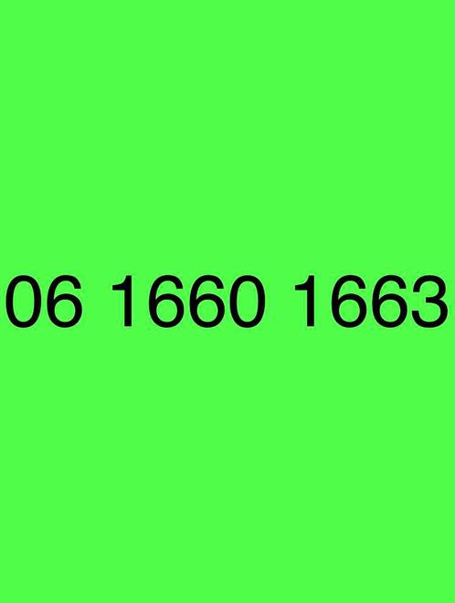 Makkelijke Telefoonnummer - 06 16 60 16 63