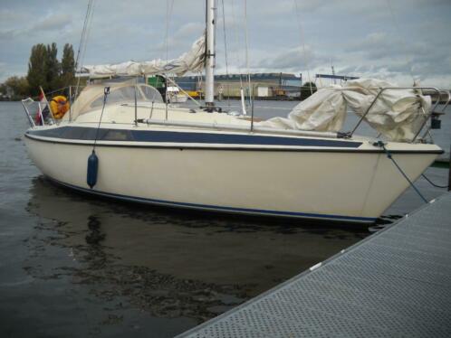 maxi 84