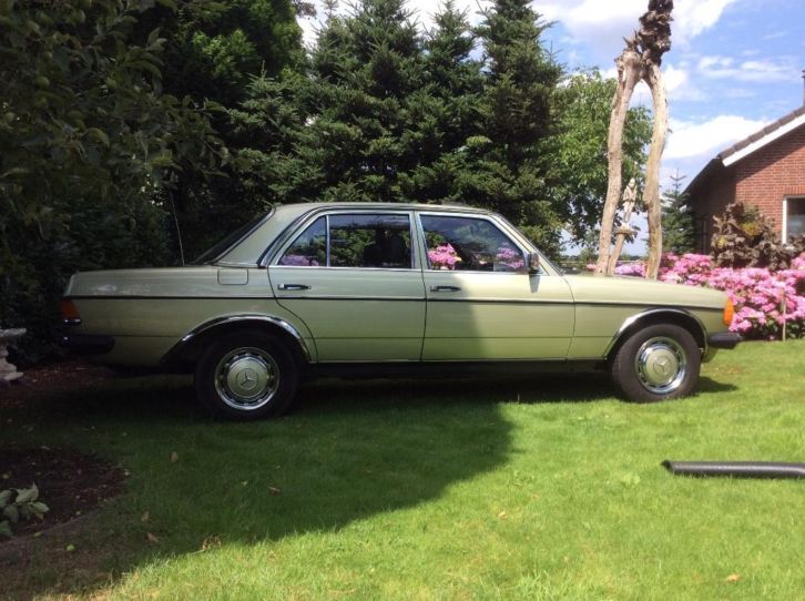 Mercedes 200-Serie 2.0 200 1983 Groen