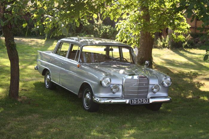Mercedes-Benz - 230 039Heckflosse039 - 1967