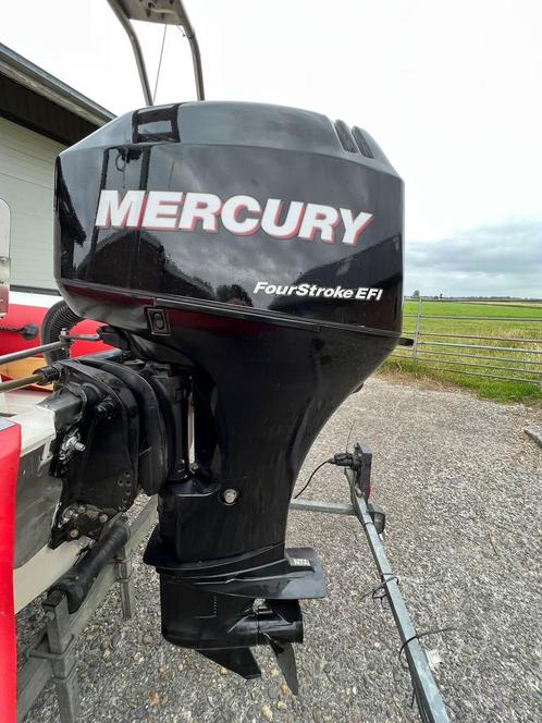 Mercury 40 pk efi injectie el start power trim