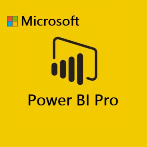 Microsoft Power Bi Pro - 100 gebruikers
